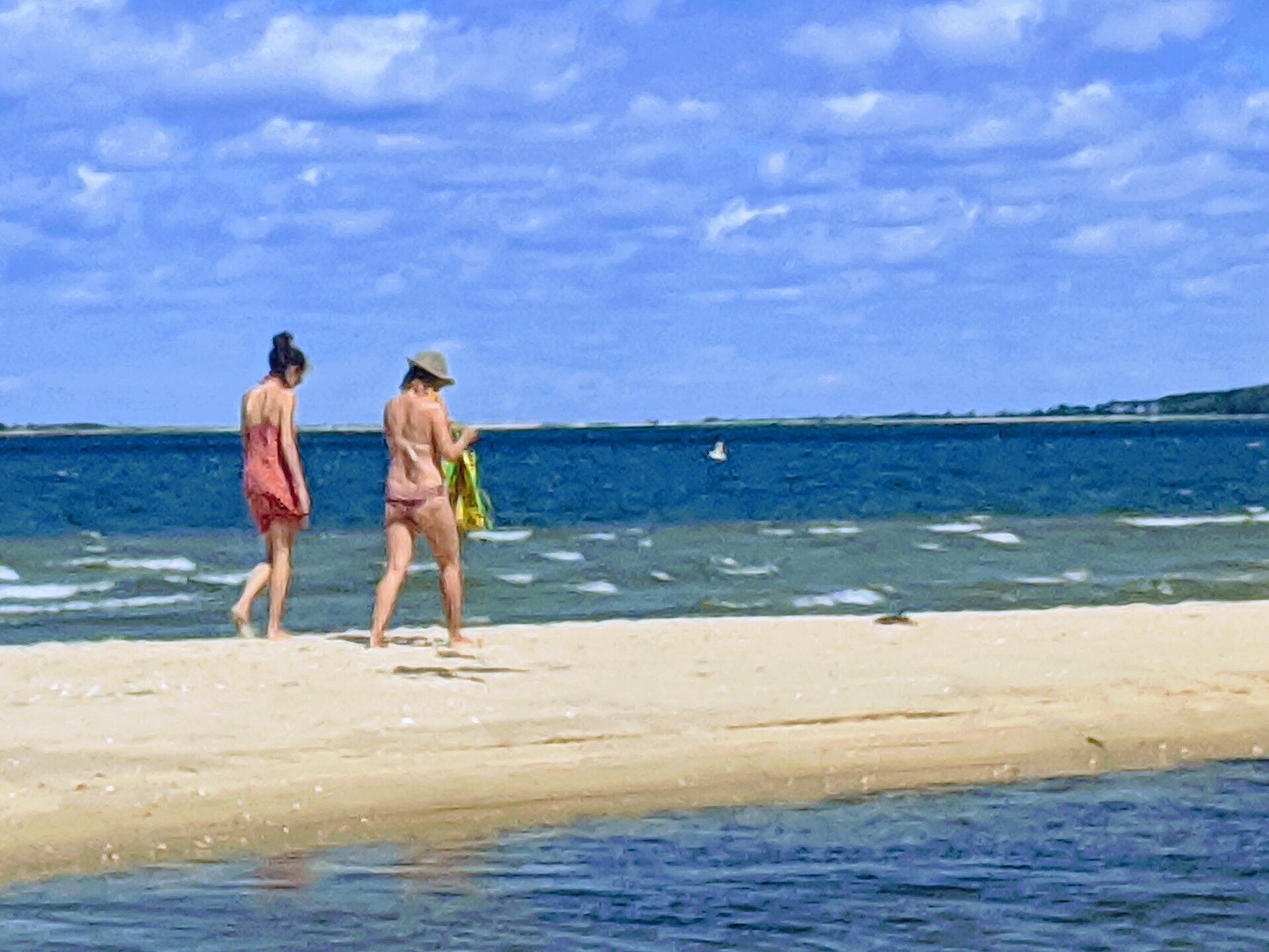 Louse Point