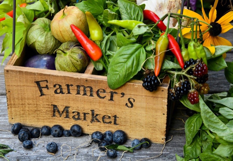 From the Fields — farms on the East End