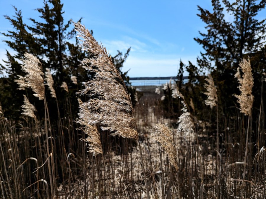 Paths & Hikes — trails on the East End